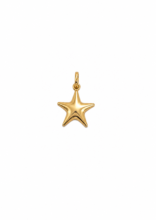 Hanger ster in 18K/750 geel goud