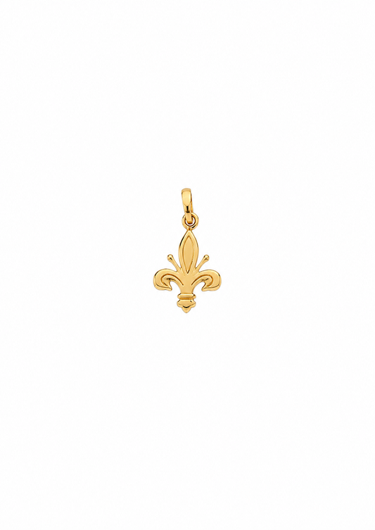 18K/750 geelgouden leliehanger