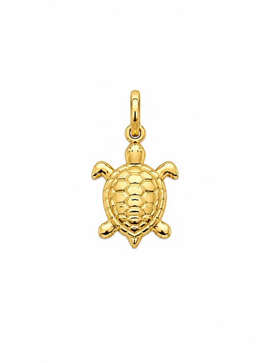 18k/750 geelgouden schildpad hanger