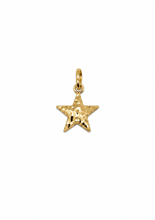 18k/750 Geelgouden 'diamond cut' ster hanger